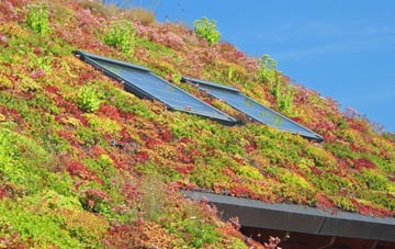 Laughterton living roof systems